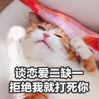 谈恋爱二缺一 猫咪 眯眼 爪子 躺着