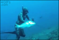 海底 可怕 潜水 大鱼