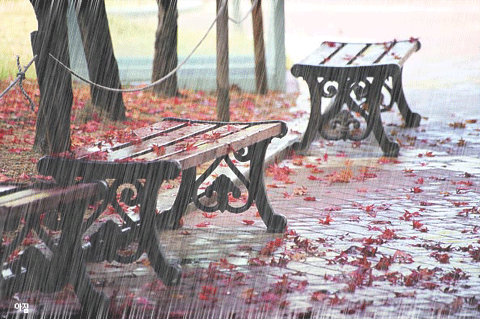 秋天 季节  下雨了 椅子