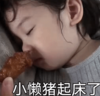 萌娃 金雪 小懒猪起床了 可爱 搞怪 呆萌