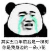 暴漫 文字表情包 其实五百年前我是一棵树你是我身边的一朵小花 搞怪 沙雕 魔性