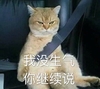 萌宠 猫星人 我没生气 你继续说 搞怪 逗