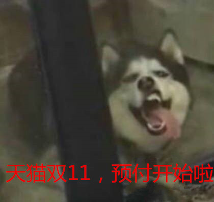 双11 付尾款时的我 萌宠 狗 二哈 预付开始啦 天猫