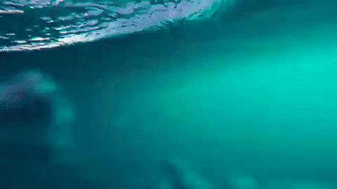 冲浪 运动 海洋 surfing