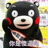 熊猫 脸红 可爱 你是傻逼吗