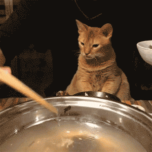 猫 嘴馋 火锅 筷子