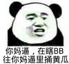 金管长 熊猫头 你妈逼在瞎BB 往你妈 逼里头黄瓜