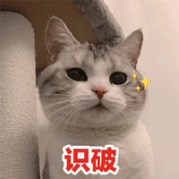 识破 猫 可爱 呆萌