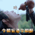 陈情令 肖战 吨吨吨 今朝有酒今朝醉