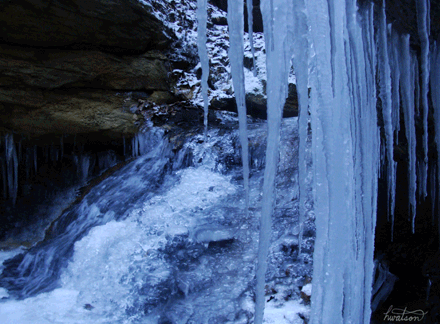 冷的 小溪 冰柱 静谧 美的 cold 冬天森林