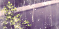 德卡先生的信箱  风景   下雨玻璃