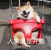 二汪 搞笑 开熏 荡秋千 可爱