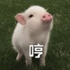 萌宠 小猪 哼 不要烦我 生气 呆萌 可爱