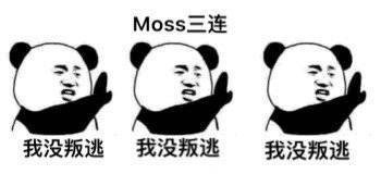 流浪地球 搞笑 文字表情包 电影 熊猫头