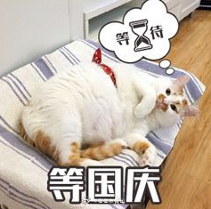 等放假 国庆节 可爱 文字表情包 喵星人