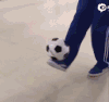 足球踢的很好 鹿哥 鹿晗 傻狍子
