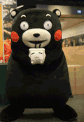 熊本熊 搞笑 无聊 可爱