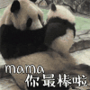 萌宠 熊猫 你最棒啦 爱你 呆萌 可爱