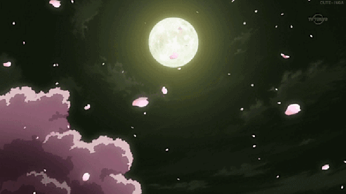 菁华浮梦 花瓣 天空 月光