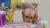 狗狗 萌宠 可爱 委屈