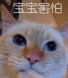 萌宠 猫星人 宝宝害怕 抱抱 搞怪 呆萌