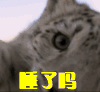 睡了吗 睡