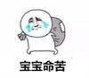 金馆长 背包 流泪 宝宝命苦
