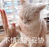 萌宠 猫星人 不情愿的妥协 无奈 呆萌 可爱