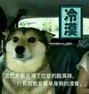 冷漠 小狗 开车 单身狗