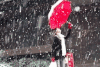 下雪 雪 天气 气象 自然
