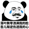 熊猫头 落叶飘零 洒满我的脸 吾儿叛逆 伤透我的心 斗图 搞笑 猥琐