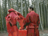 三生三世十里桃花 soogif soogif出品 电视剧