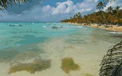多米尼加共和国 晴天 海洋 海浪 海风 纪录片 蓬塔卡纳 风景