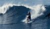 冲浪 骑车  surfing