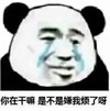 暴漫 熊猫头 你在干嘛 是不是嫌我烦了呀 搞怪 逗