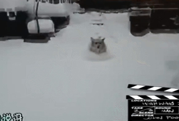 狗狗 奔跑 没影了 雪地