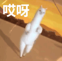 搞笑 扭屁股 羊驼 逗 文字表情包
