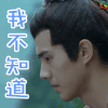 琅琊榜2 刘昊然 萧平旌 我不知道 soogif