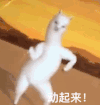 搞笑 扭屁股 羊驼 逗 文字表情包