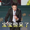 撒贝宁 主持人 名人 宝宝惊呆了
