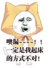 金馆长 猫咪 戴头巾 噢漏一定是我起床的方式不对