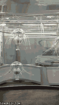 水母 科学 机器人 动画
