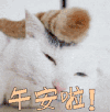 午安