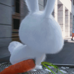 萌宠 卡通 可爱 兔子 动图表情包