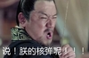 胡须男 拉弓 古装 说朕的核弹呢