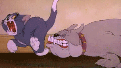 猫和老鼠 汤姆和杰瑞 狂奔 搞笑 可爱 萌萌哒