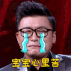 蒙面唱将 宝宝心里苦 流泪