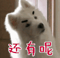 还有呢 汪星人 狗