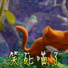猫咪 可爱 呆萌 搞笑 斗图 笑死喵了