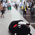 英雄联盟 LOL 起飞 熊本熊